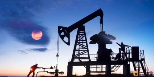 歐佩克維持產量不變疊加美聯儲風險預警，國際石油市場面臨復雜考驗